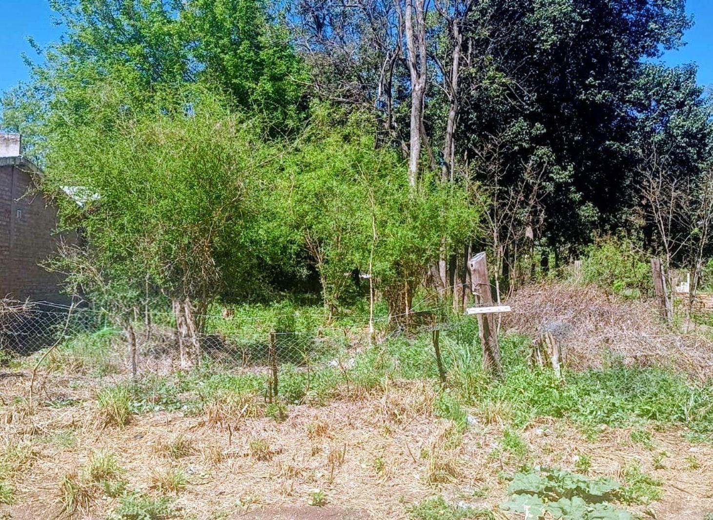 Foto de VENTA TERRENO EN LA GRANJA 420 MTS2, imagen 2