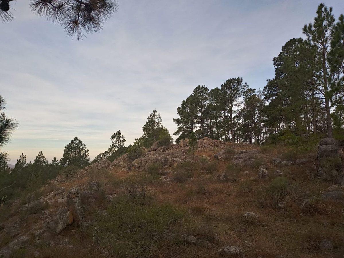 Foto de VENTA LOTE 5.834 MTRS CON ESCRITURA. SAN CLEMENTE, imagen 3