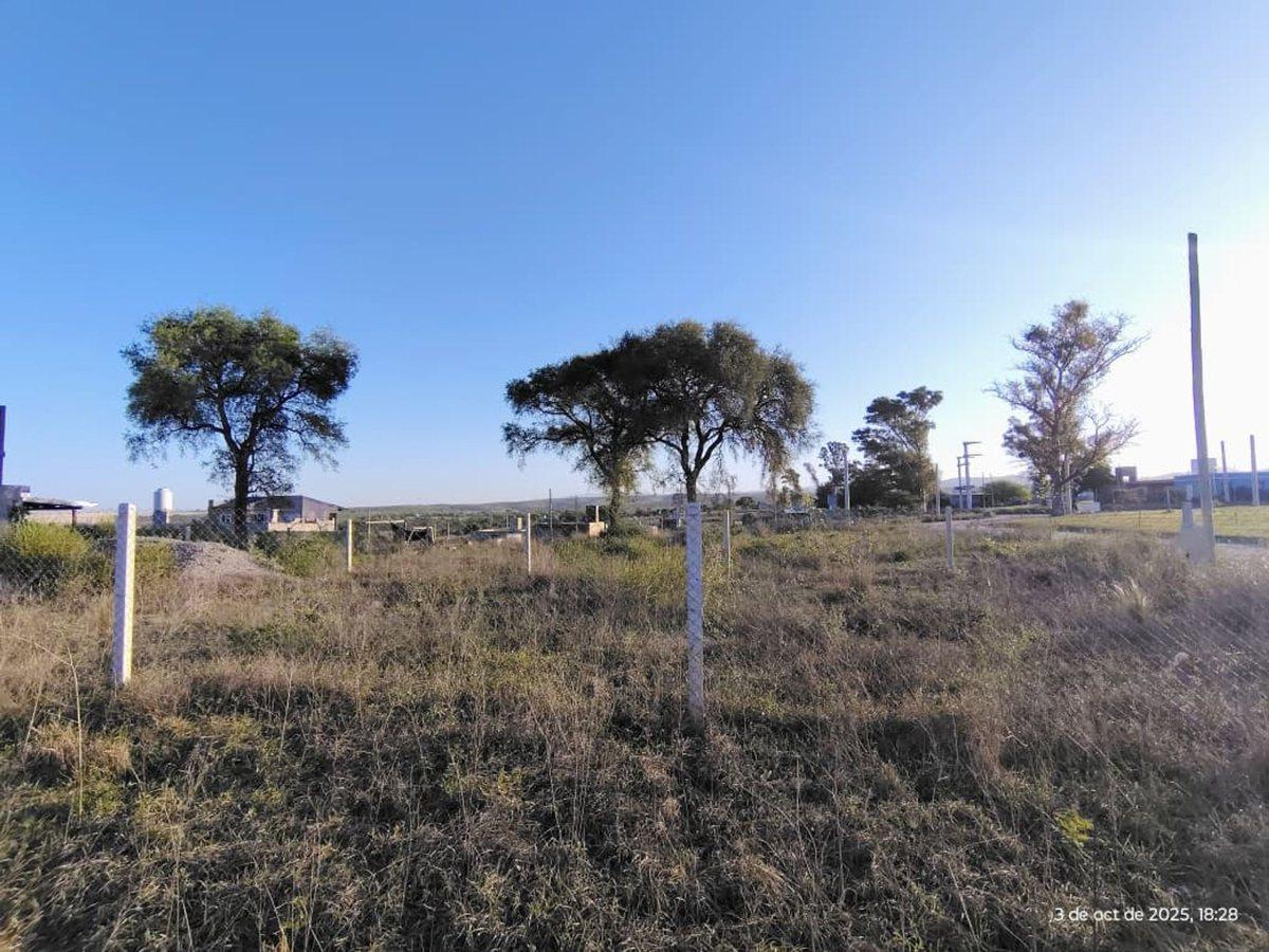 Foto de VENTA TERRENO EN LOMAS DE ANISACATE, imagen 5