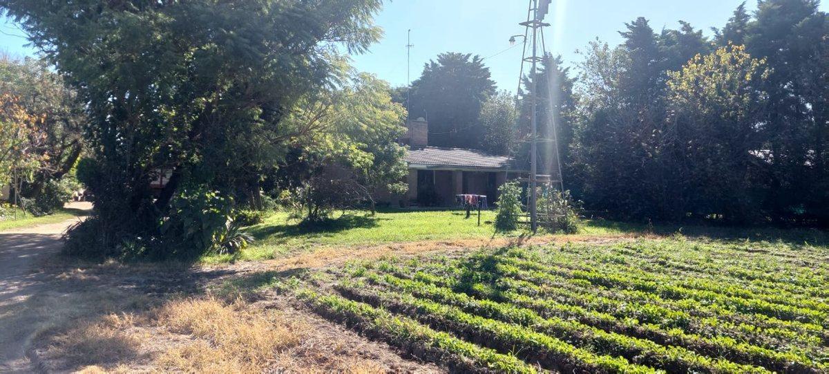 Foto de VENTA TERRENO SOBRE CAMINO SAN CARLOS, imagen 5