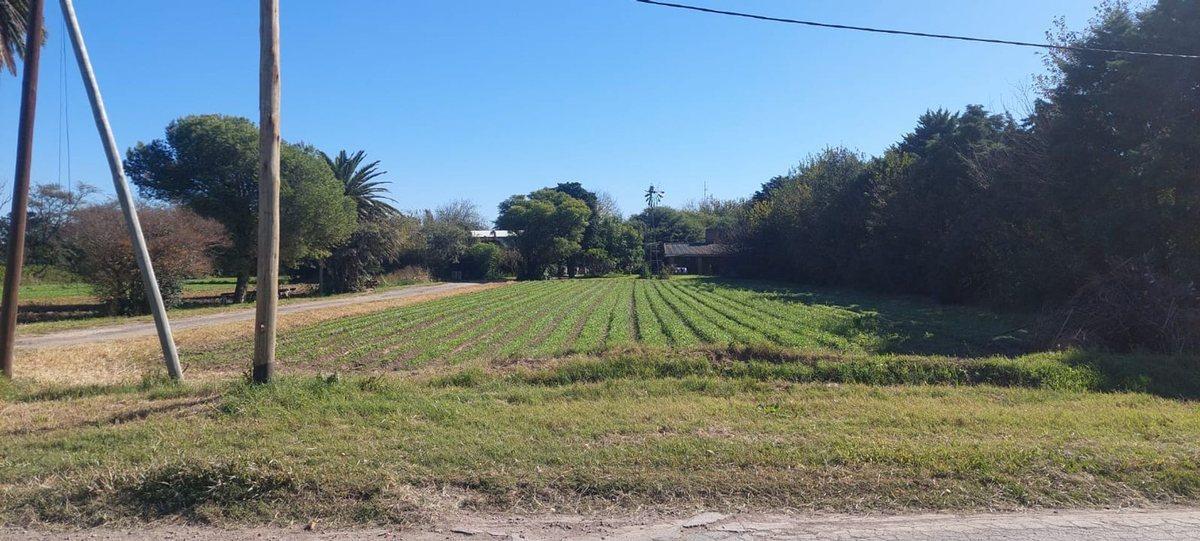 Foto de VENTA TERRENO SOBRE CAMINO SAN CARLOS, imagen 4