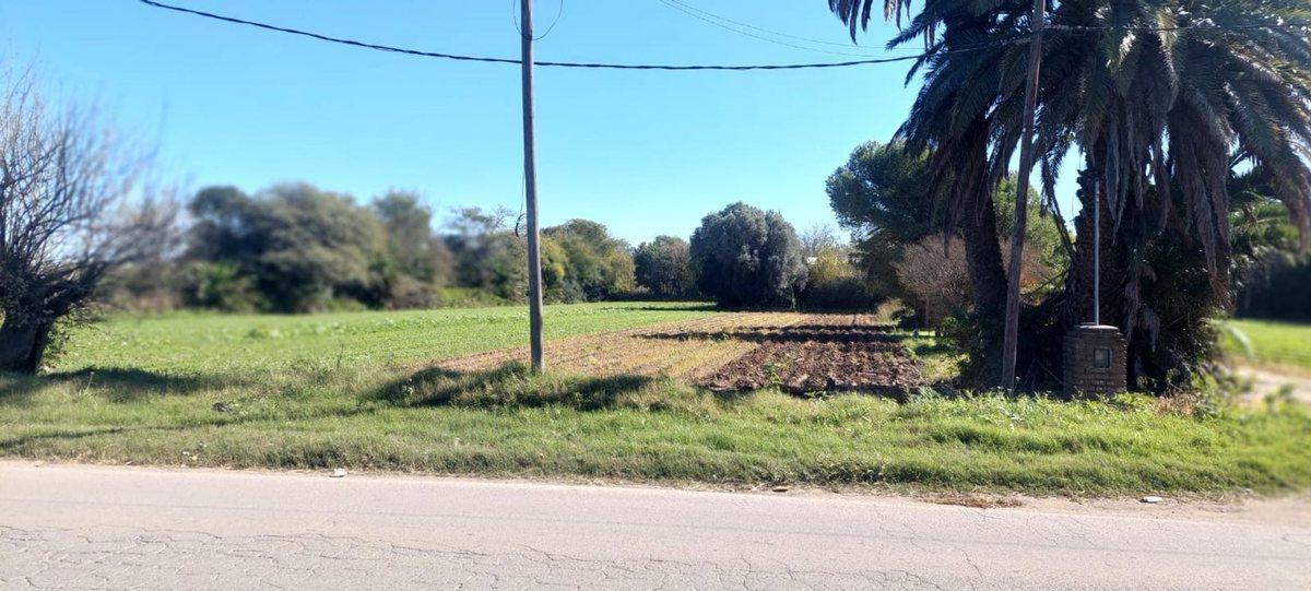 Foto de VENTA TERRENO SOBRE CAMINO SAN CARLOS, imagen 2