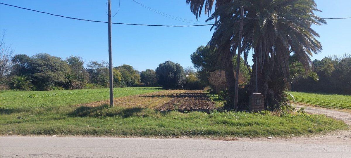 Foto de VENTA TERRENO SOBRE CAMINO SAN CARLOS, imagen 3