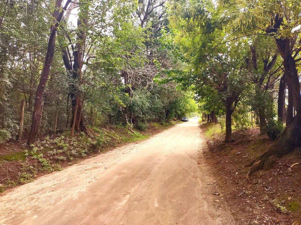 Foto de TERRENO 1 HA EN TRASLASIERRA LAS CALLES, imagen 2