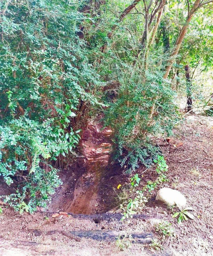 Foto de TERRENO 1 HA EN TRASLASIERRA LAS CALLES, imagen 3