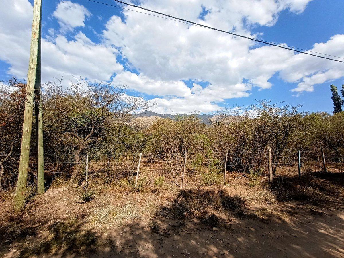 Foto de VENTA ESPECTACULAR LOTE 6521 M2 EN LOS HORNILLOS, imagen 2
