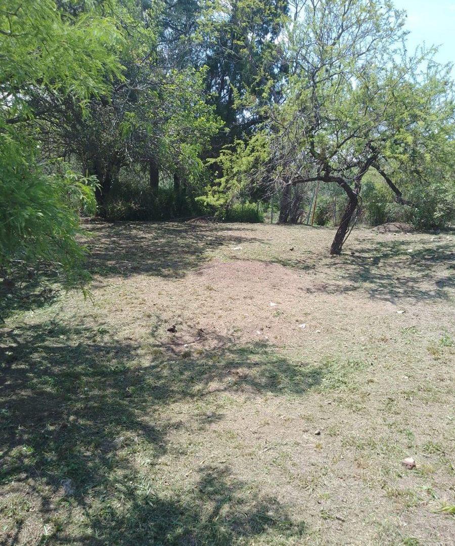 Foto de LOTE CENTRICO LA SERRANITA, imagen 3