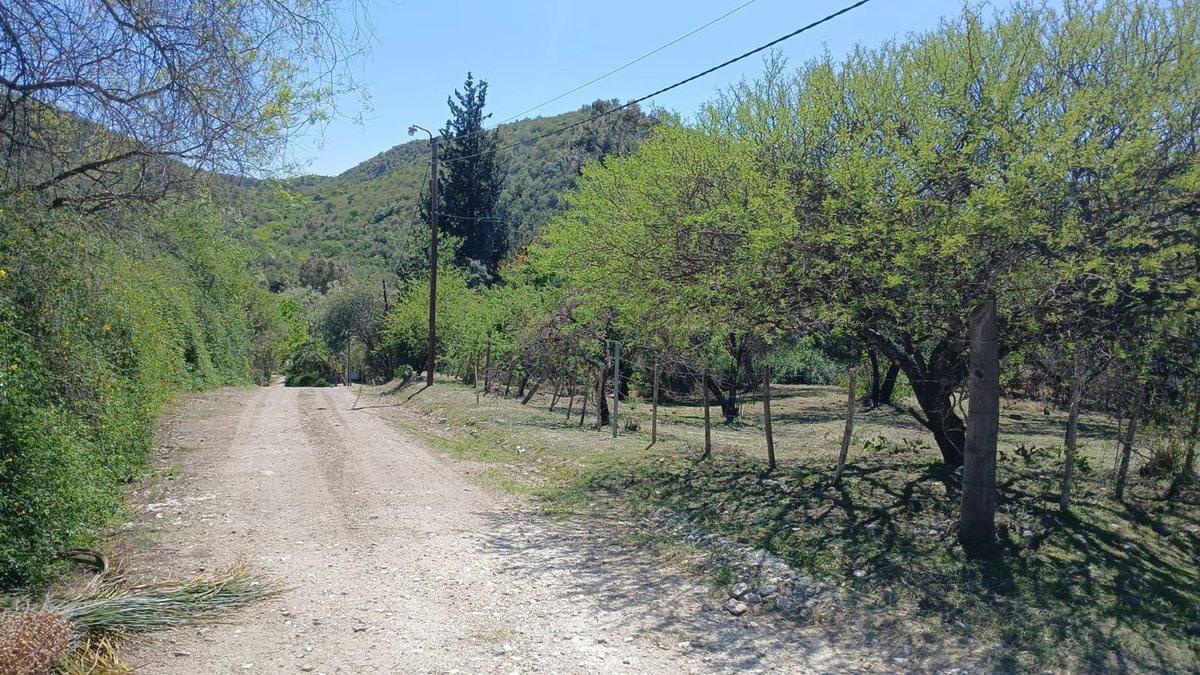 Foto de LOTE CENTRICO LA SERRANITA, imagen 2