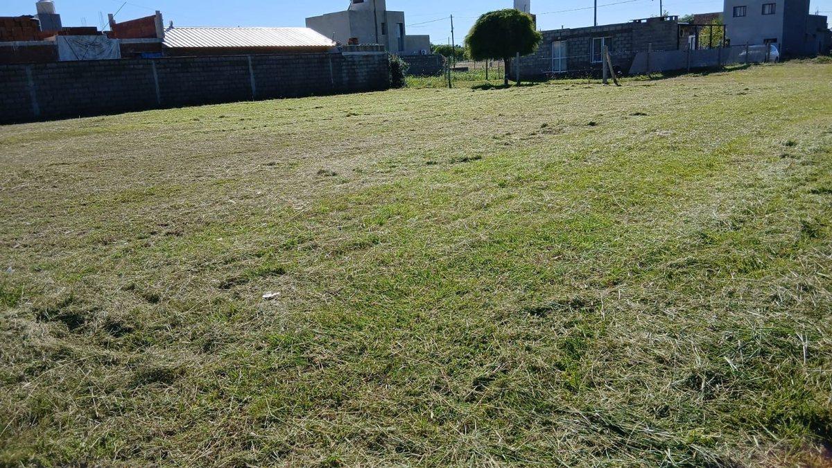 Foto de SE VENDE LOTE EN ALTOS DE LA COLONIA 350m2, imagen 1