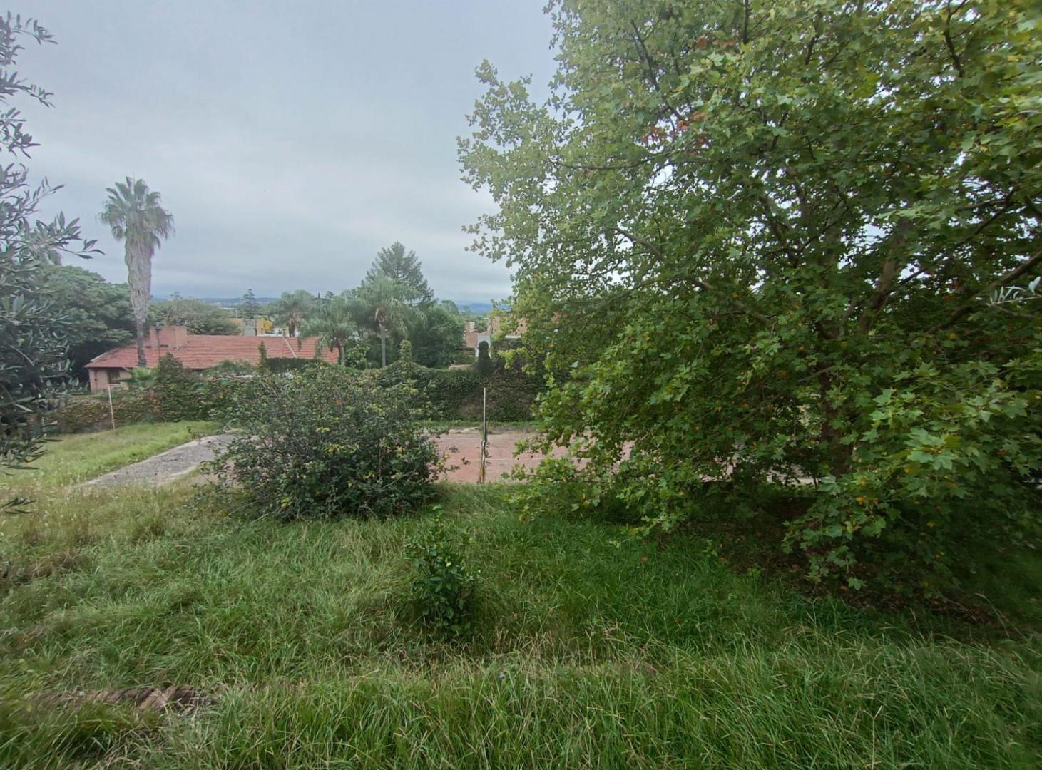 Foto de VENTA IMPONENTE LOTE 9.000MTS VILLA BELGRANO, imagen 1