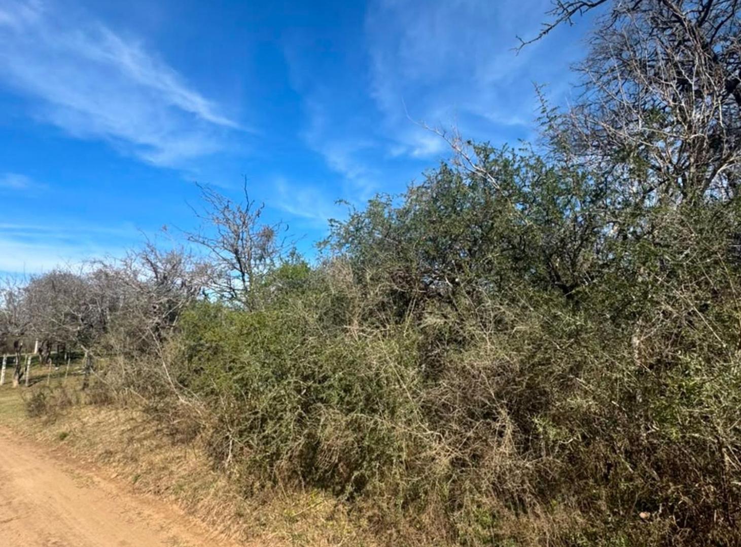 Foto de VENTA LOTE 996 M2 - LOS MOLINOS, imagen 1