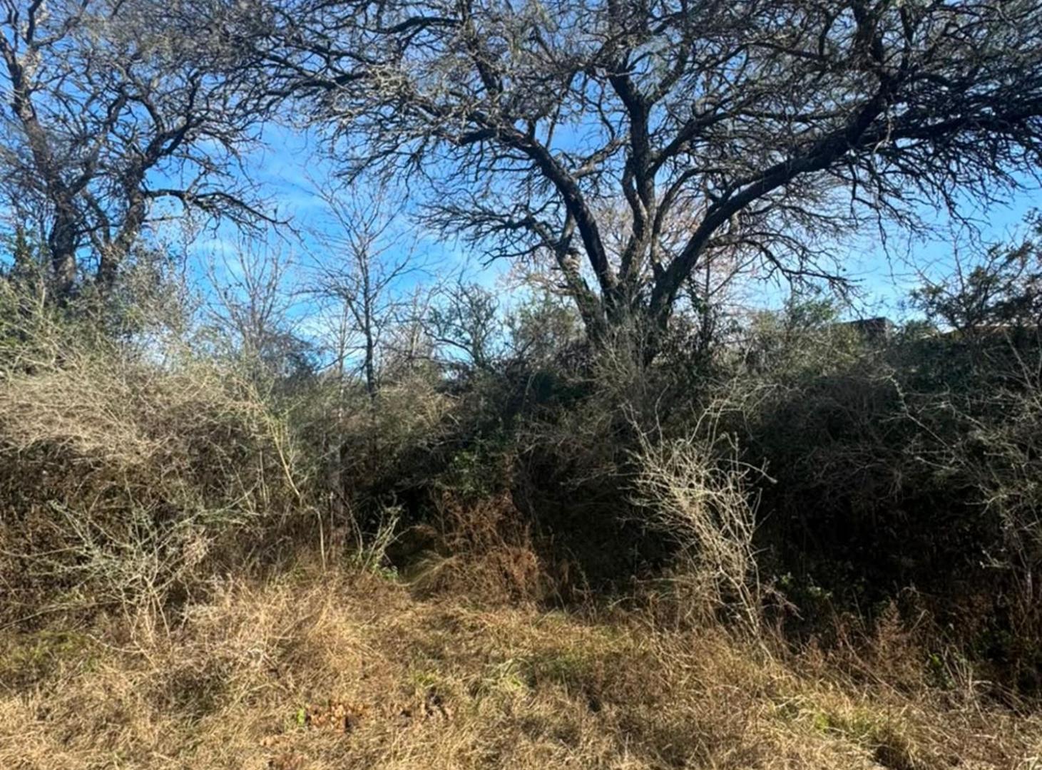 Foto de VENTA LOTE 996 M2 - LOS MOLINOS, imagen 4