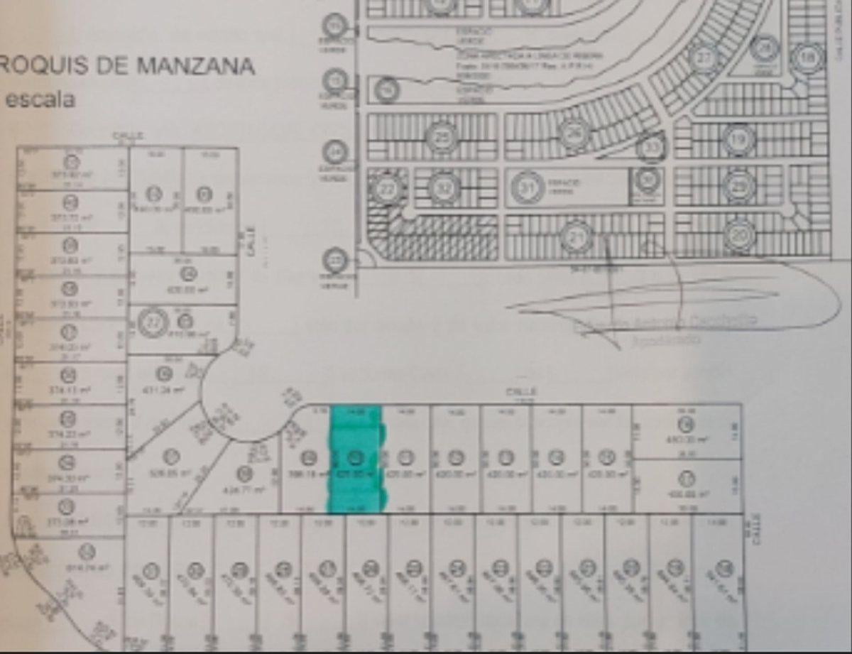 Foto de VENTA LOTE LAS TIPAS MANANTIALES, imagen 4