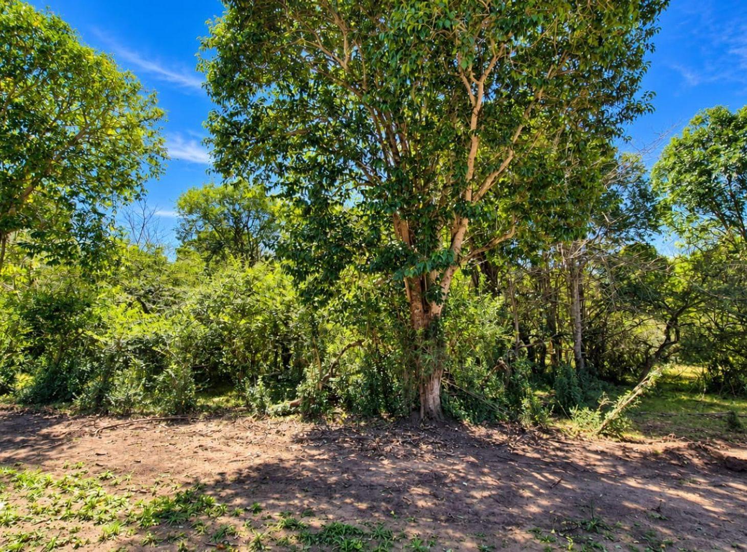 Foto de VENTA LOTE EN LA FLORITA VILLA GENERAL BELGRANO, imagen 2