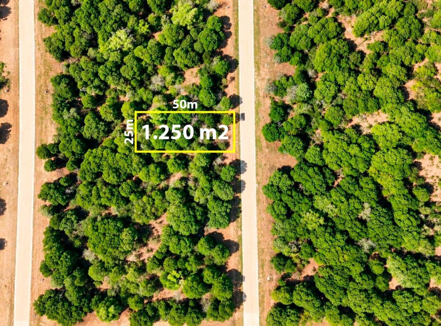 Foto de VENTA LOTE EN LA FLORITA VILLA GENERAL BELGRANO, imagen 1