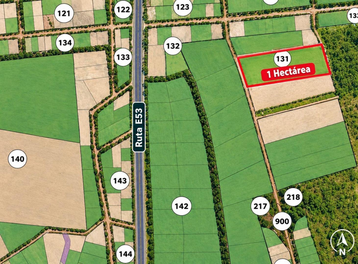 Foto de VENTA LOTE DE UNA HECTAREA EN LA GRANJA, imagen 3