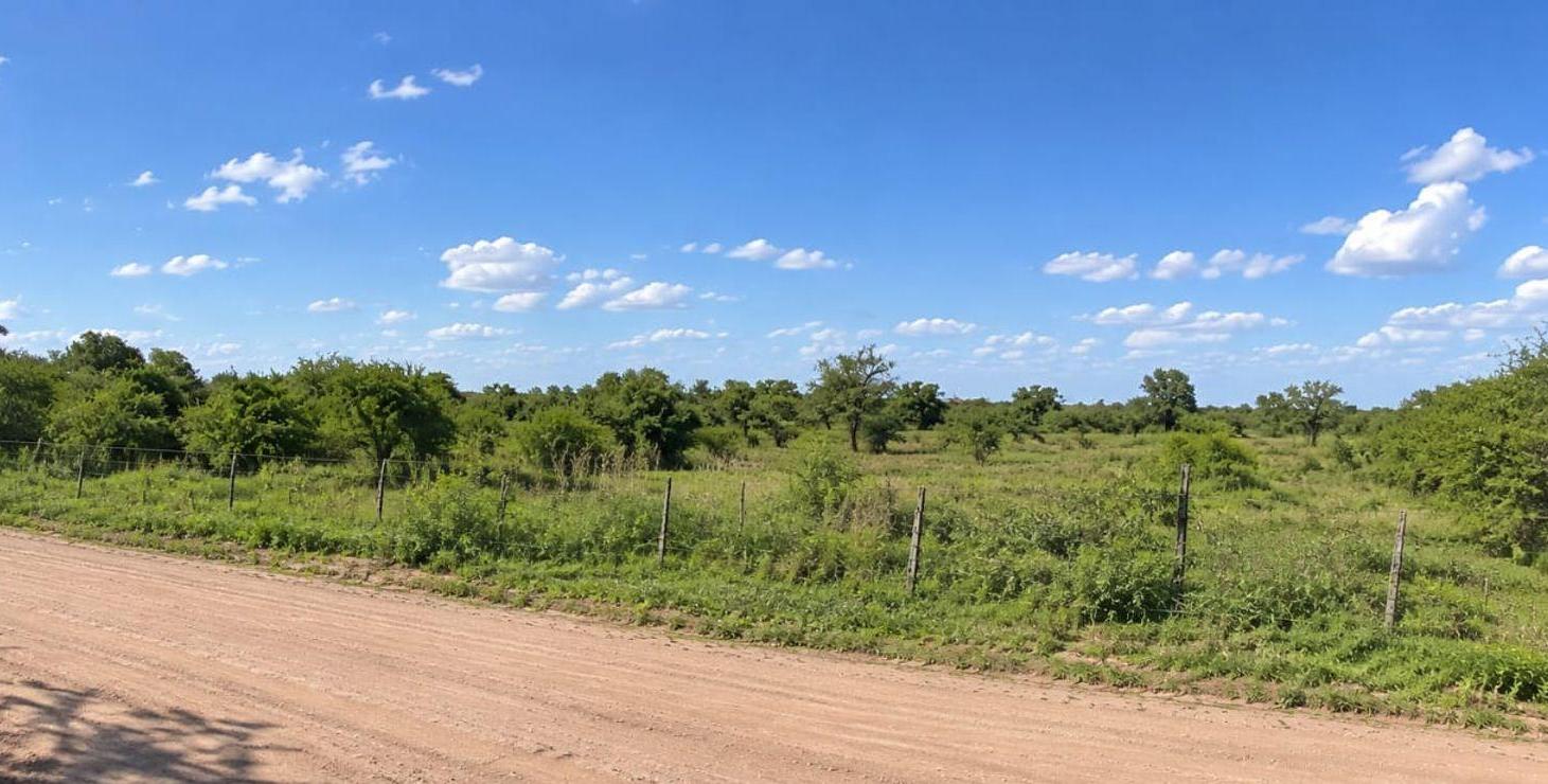 Foto de VENTA LOTE DE UNA HECTAREA EN LA GRANJA, imagen 2