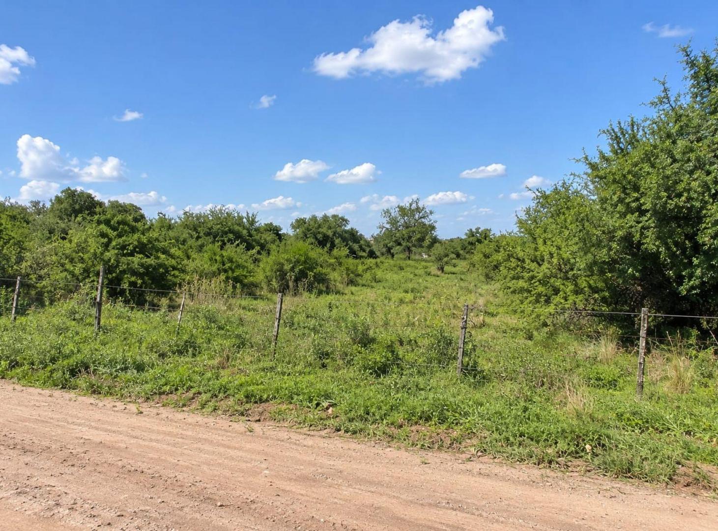 Foto de VENTA LOTE DE UNA HECTAREA EN LA GRANJA, imagen 1