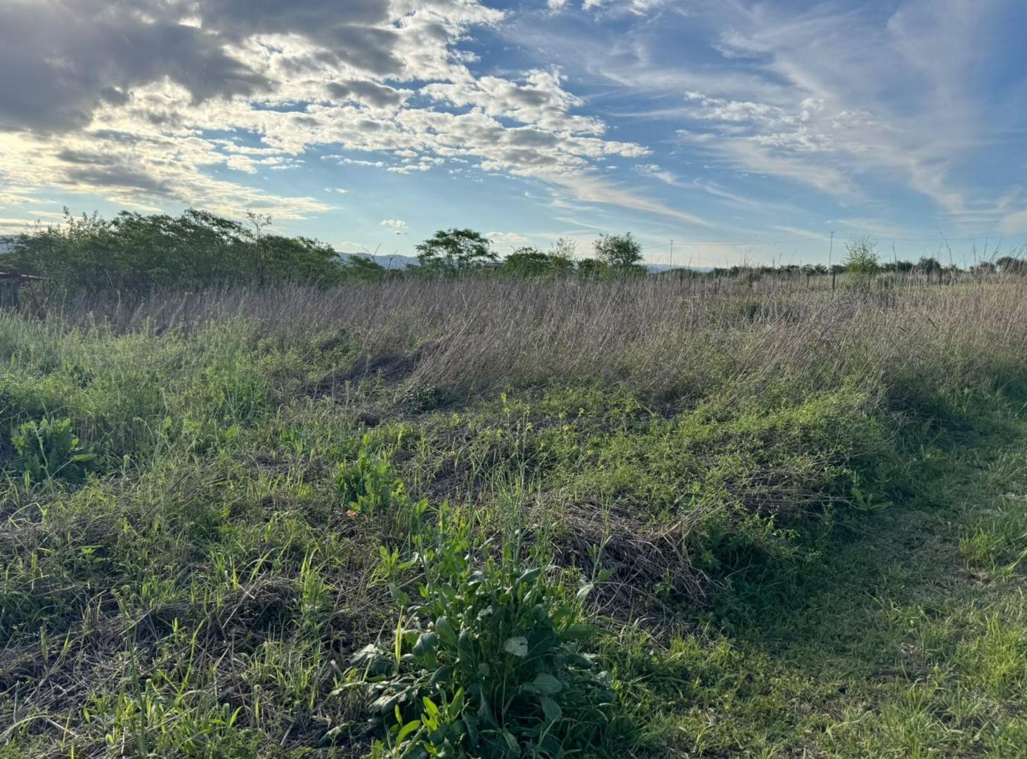 Foto de VENTA LOTE / TERRENO EN AIRES DEL NORDESTE, imagen 5