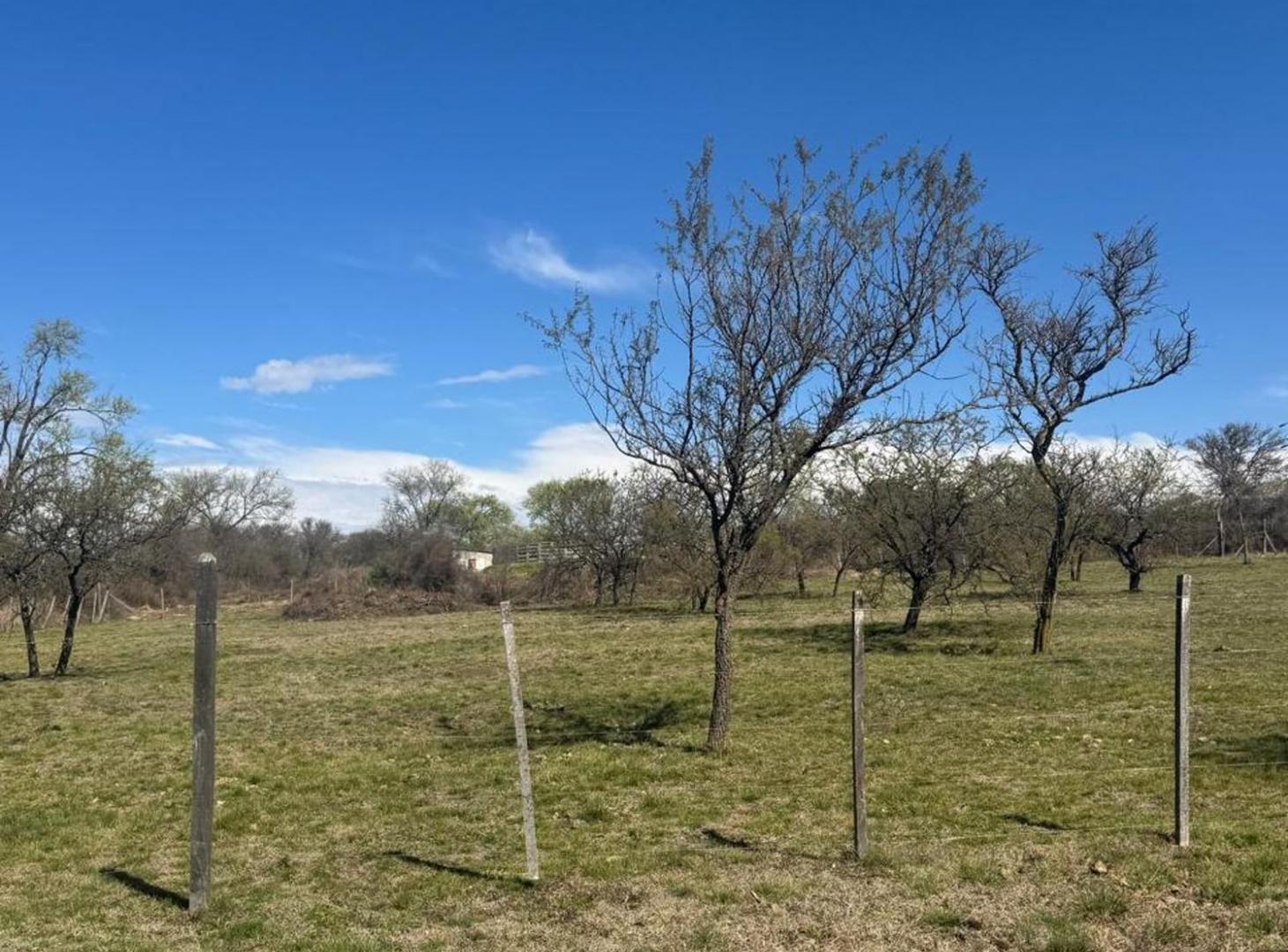 Foto de VENTA LOTE CALAMUCHITA - 750 M2, imagen 5
