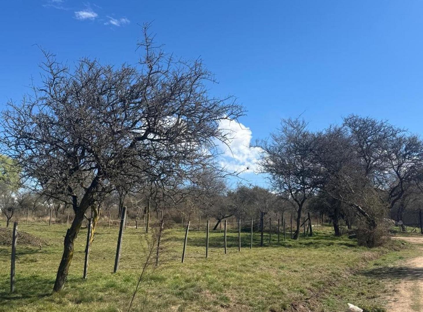 Foto de VENTA LOTE CALAMUCHITA - 750 M2, imagen 4