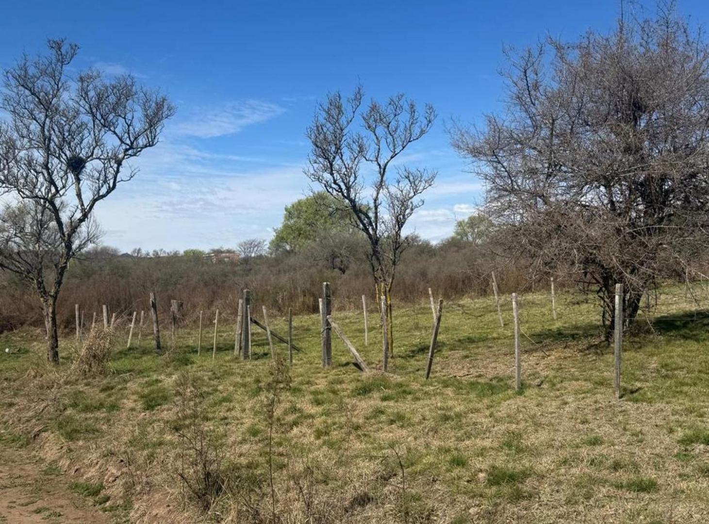 Foto de VENTA LOTE CALAMUCHITA - 750 M2, imagen 3