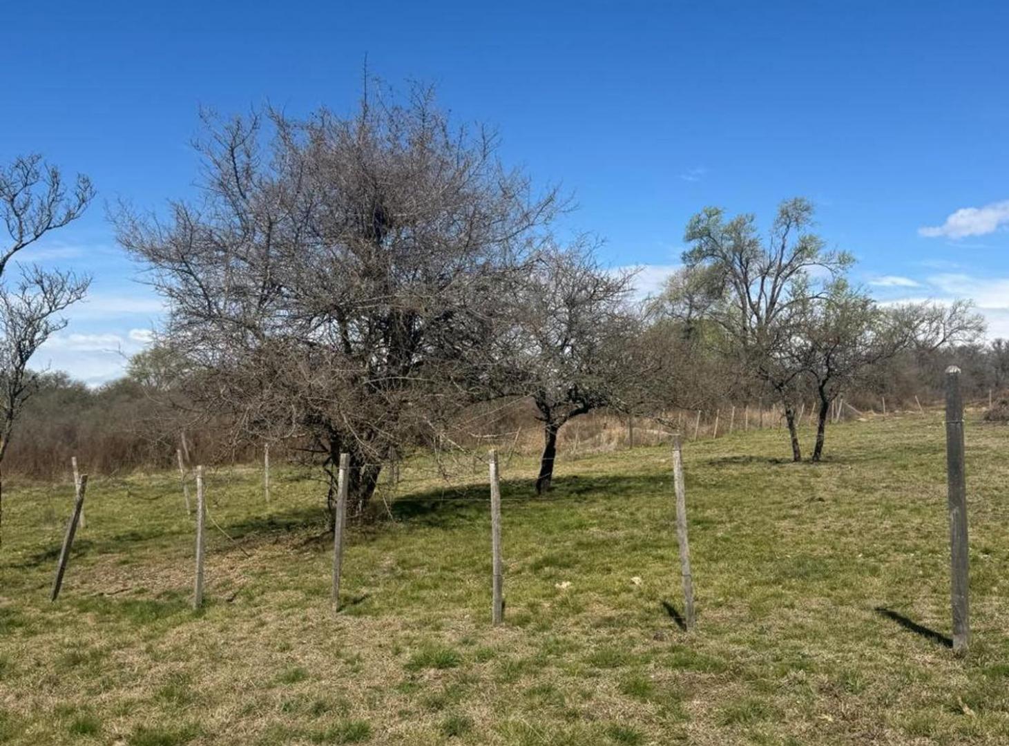 Foto de VENTA LOTE CALAMUCHITA - 750 M2, imagen 2