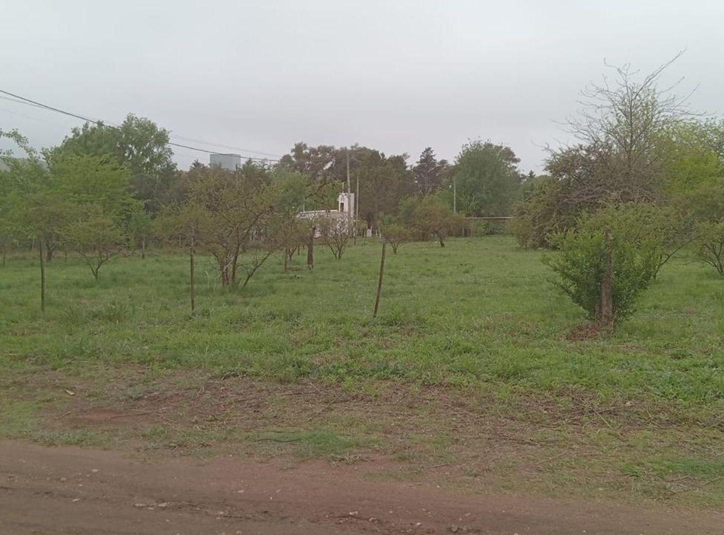 Foto de Venta Terreno 1.000m² en Potrero | Escritura, imagen 2