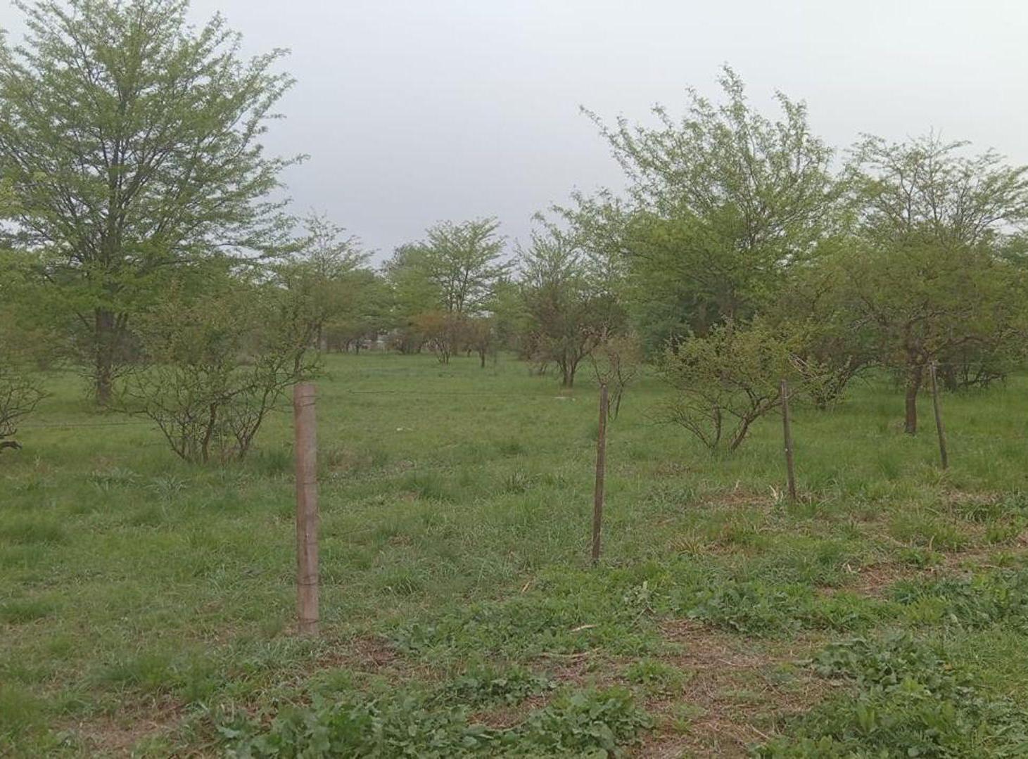 Foto de Venta Terreno 1.000m² en Potrero | Escritura, imagen 3