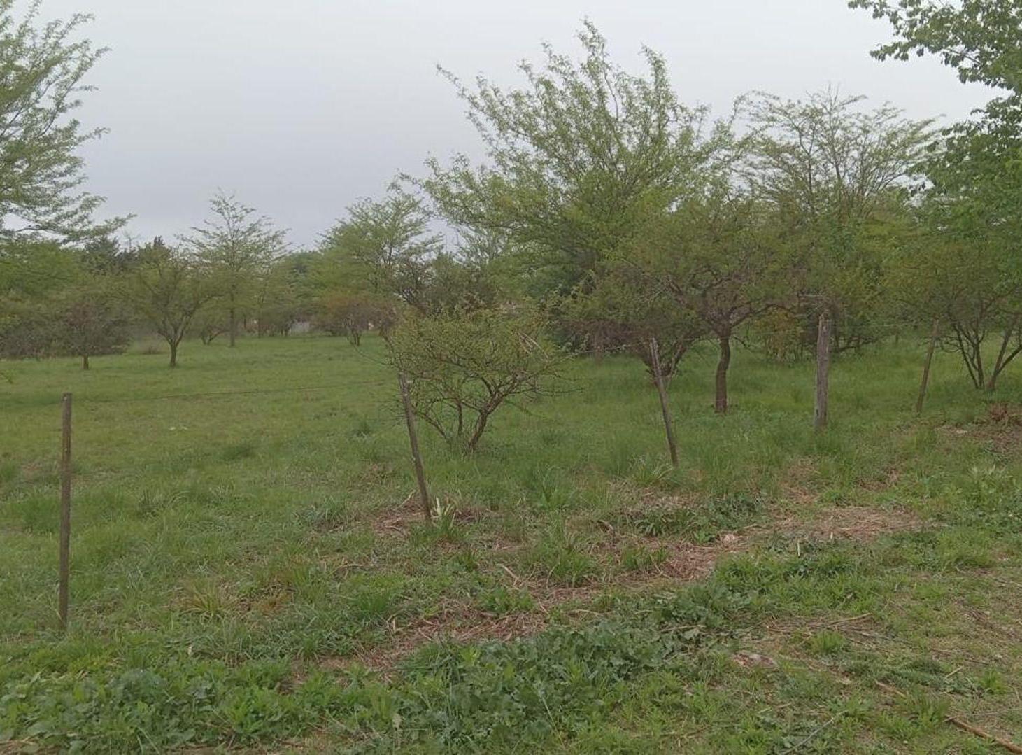 Foto de Venta Terreno 1.000m² en Potrero | Escritura, imagen 4