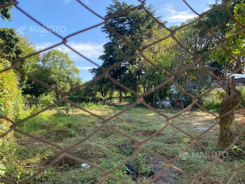 TERRENO EN VENTA EN MASCHWITZ - MAROTO PROPIEDADES 5