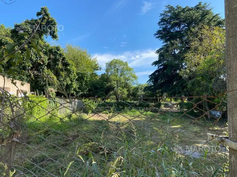 TERRENO EN VENTA EN MASCHWITZ - MAROTO PROPIEDADES 6
