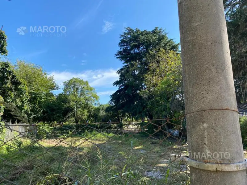 TERRENO EN VENTA EN MASCHWITZ - MAROTO PROPIEDADES 4