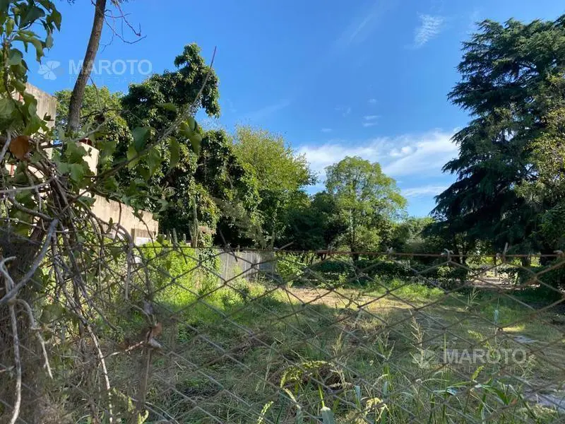 TERRENO EN VENTA EN MASCHWITZ - MAROTO PROPIEDADES 1