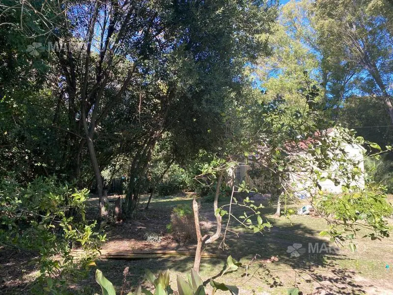LOTE EN VENTA EN MASCHWITZ DE - MAROTO PROPIEDADES 3