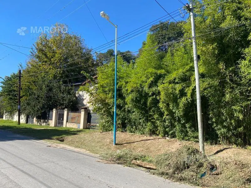 LOTE EN VENTA EN MASCHWITZ DE - MAROTO PROPIEDADES 5