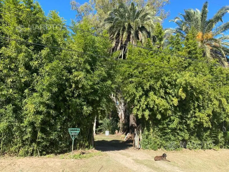 LOTE EN VENTA EN MASCHWITZ DE - MAROTO PROPIEDADES 2