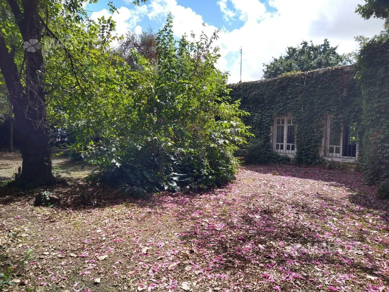 CASA MAS LOTE - IDEAL INVERSOR VENDE EN MASCHWITZ  - MAROTO PROPIEDADES 8