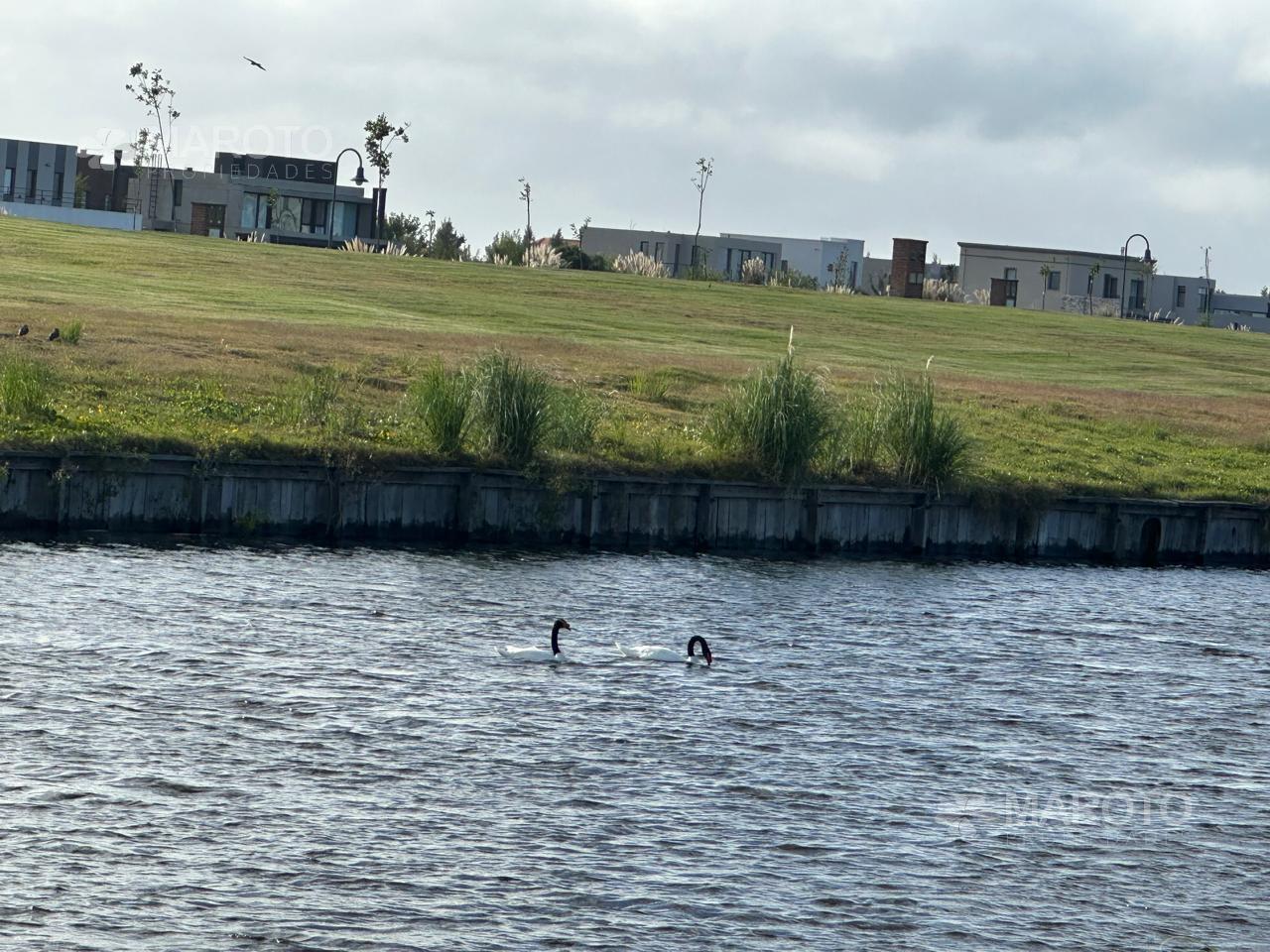 Foto de Terreno en LOTE AL AGUA EN VENTA - MAROTO PROPIEDADES, imagen 2