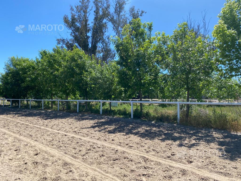 Foto de FRACCIÓN INDUSTRIAL EN VENTA EN TIGRE - VILLA LA ÑATA - MAROTO, imagen 1