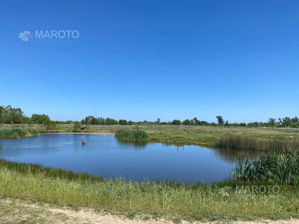 Foto de FRACCIÓN INDUSTRIAL EN VENTA EN TIGRE - VILLA LA ÑATA - MAROTO, imagen 3