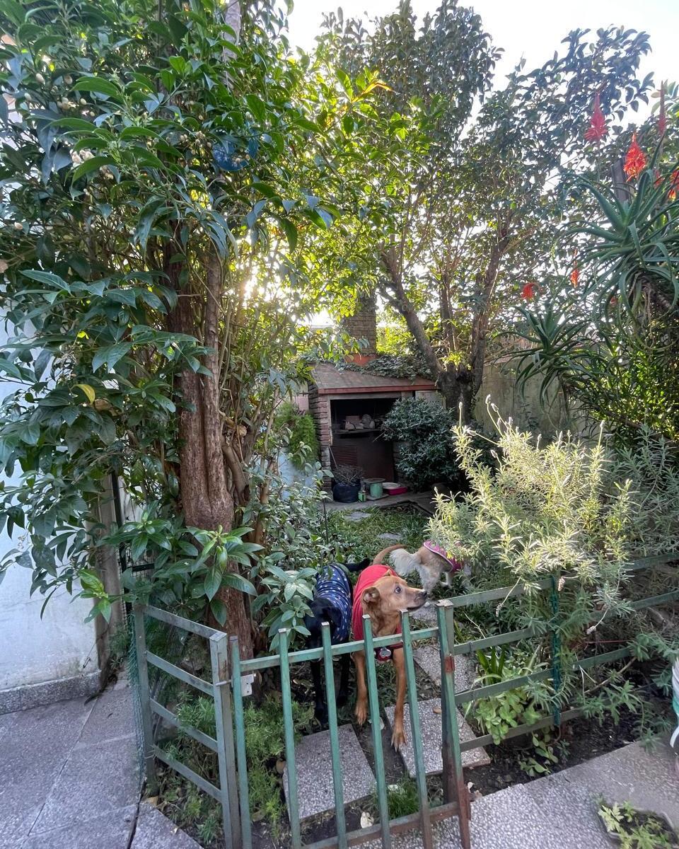 Casa con Cochera, Excelente Ubicacion 5