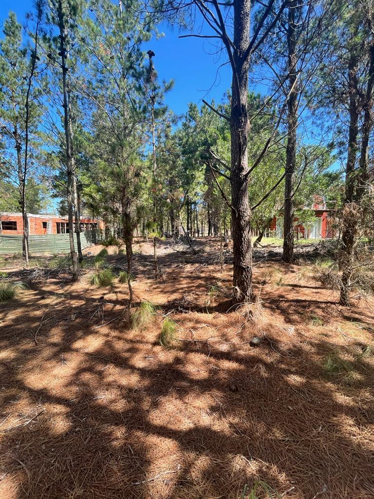 Lote 1000 m² Arbolado 5