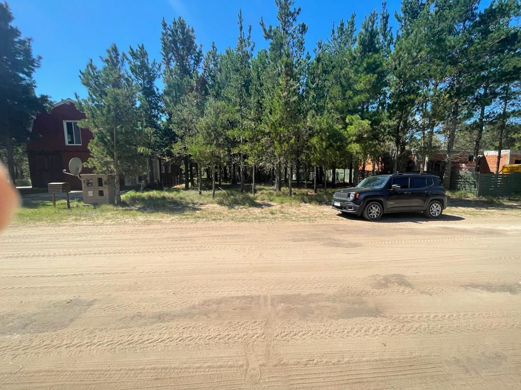 Lote 1000 m² Arbolado 3