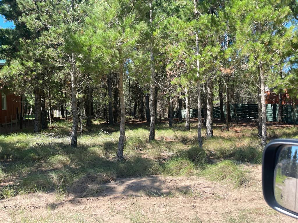 Lote 1000 m² Arbolado 1