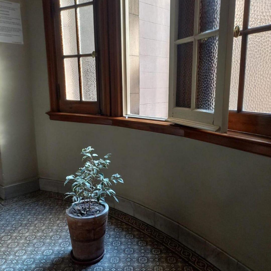Foto de HERMOSO 3 AMB. CON DEPENDENCIA DE SERVICIO EN EDIFICIO HISTO, imagen 4