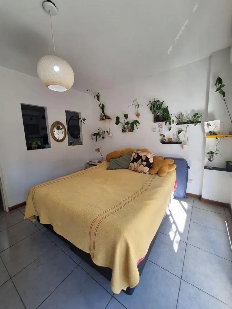 Monoambiente Dividivo - Luminoso con Balcón y Patio 5