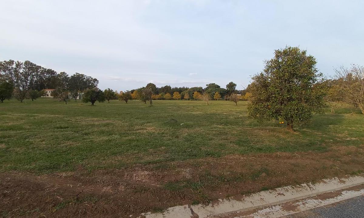 Lote 854 m² - Azahares del Paraná - Fighiera Santa Fe | Venta 3