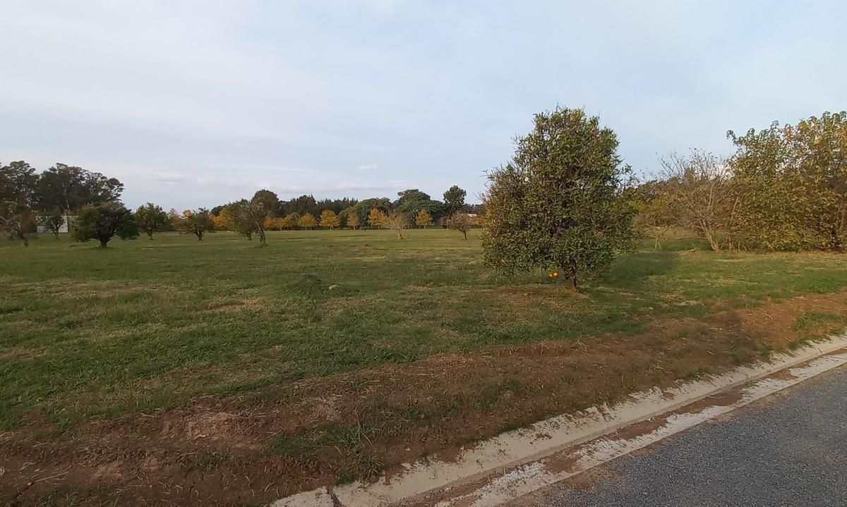 Lote 854 m² - Azahares del Paraná - Fighiera Santa Fe | Venta 2