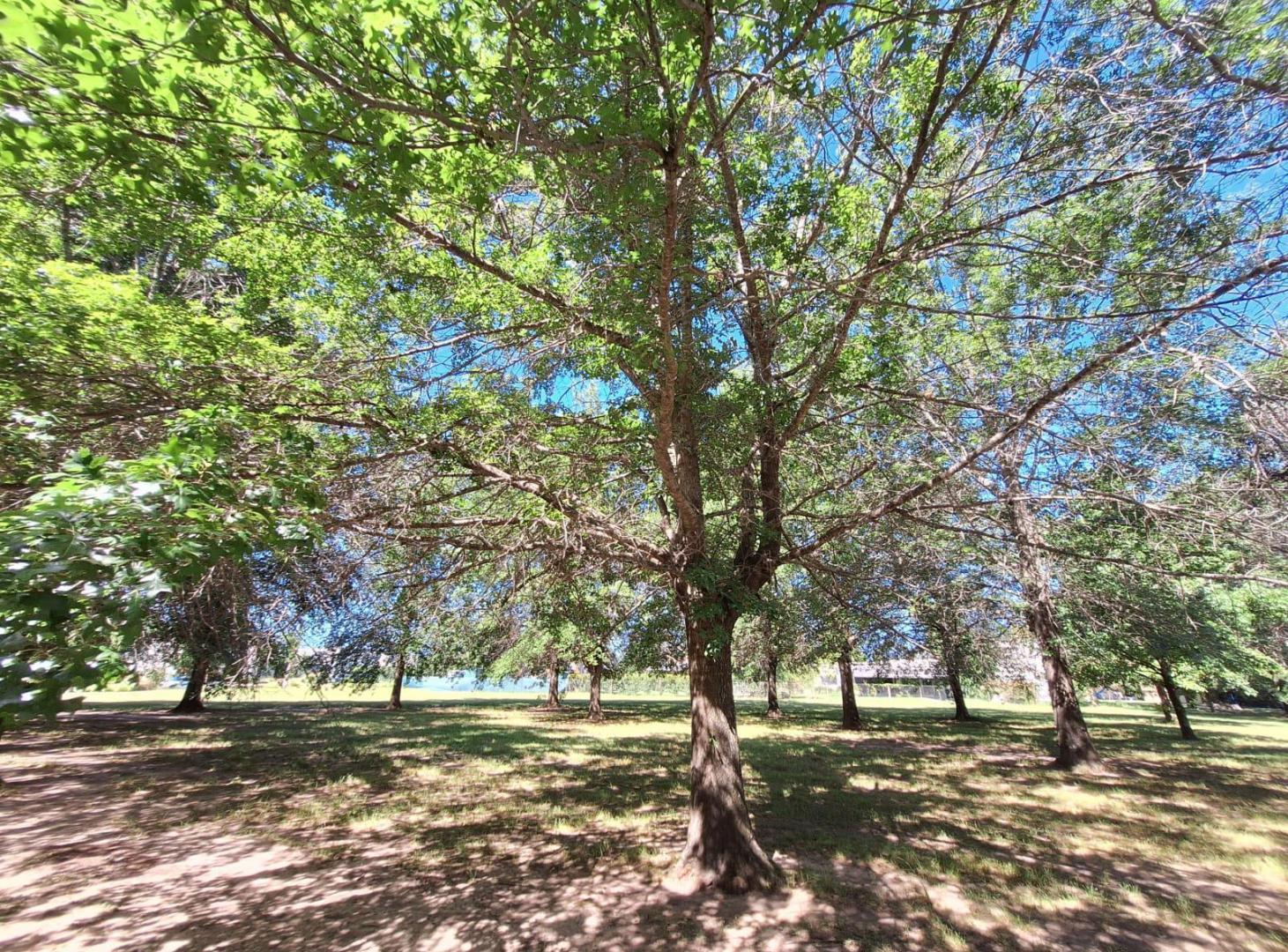 Terreno 1000 m2 - Palos Verdes - Fisherton Rosario | venta